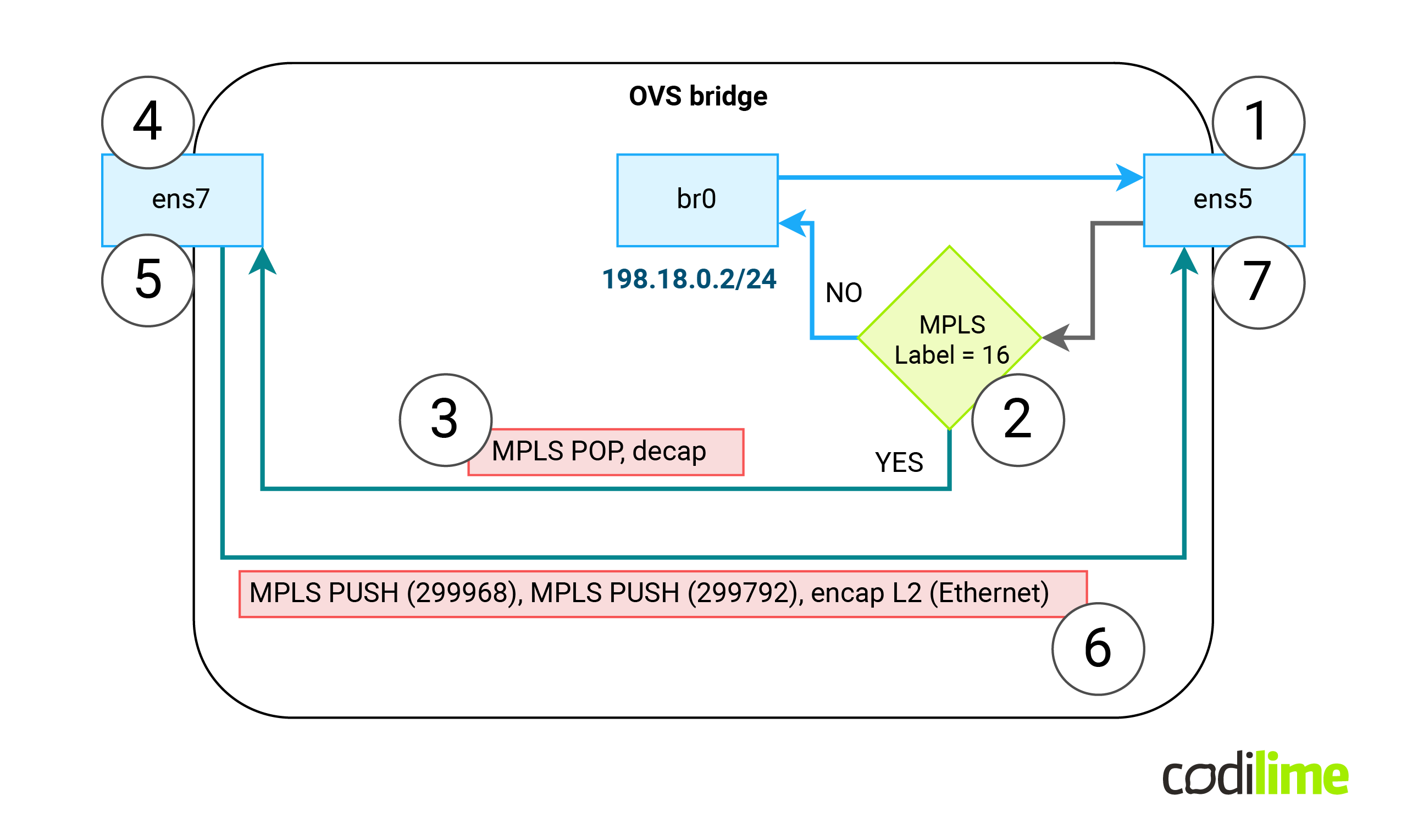 OVS - VPWS scenario