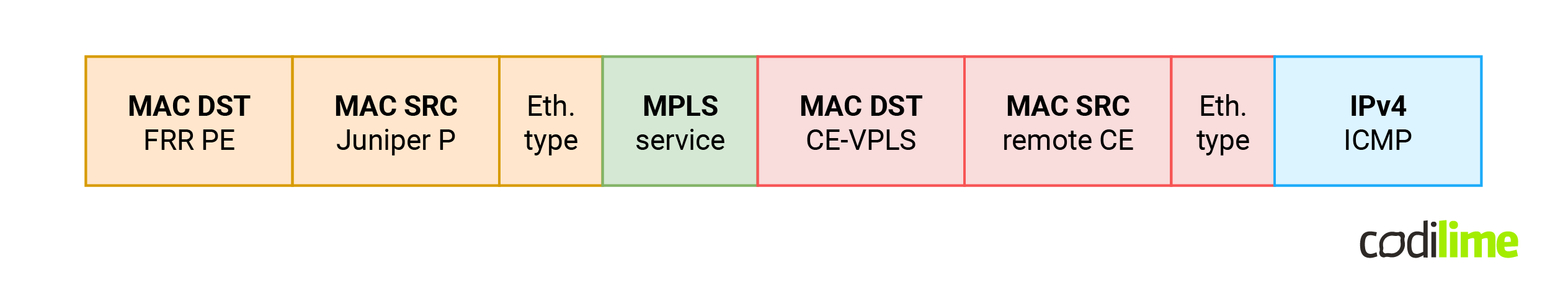 Encapsulation of packet in VPLS scenario