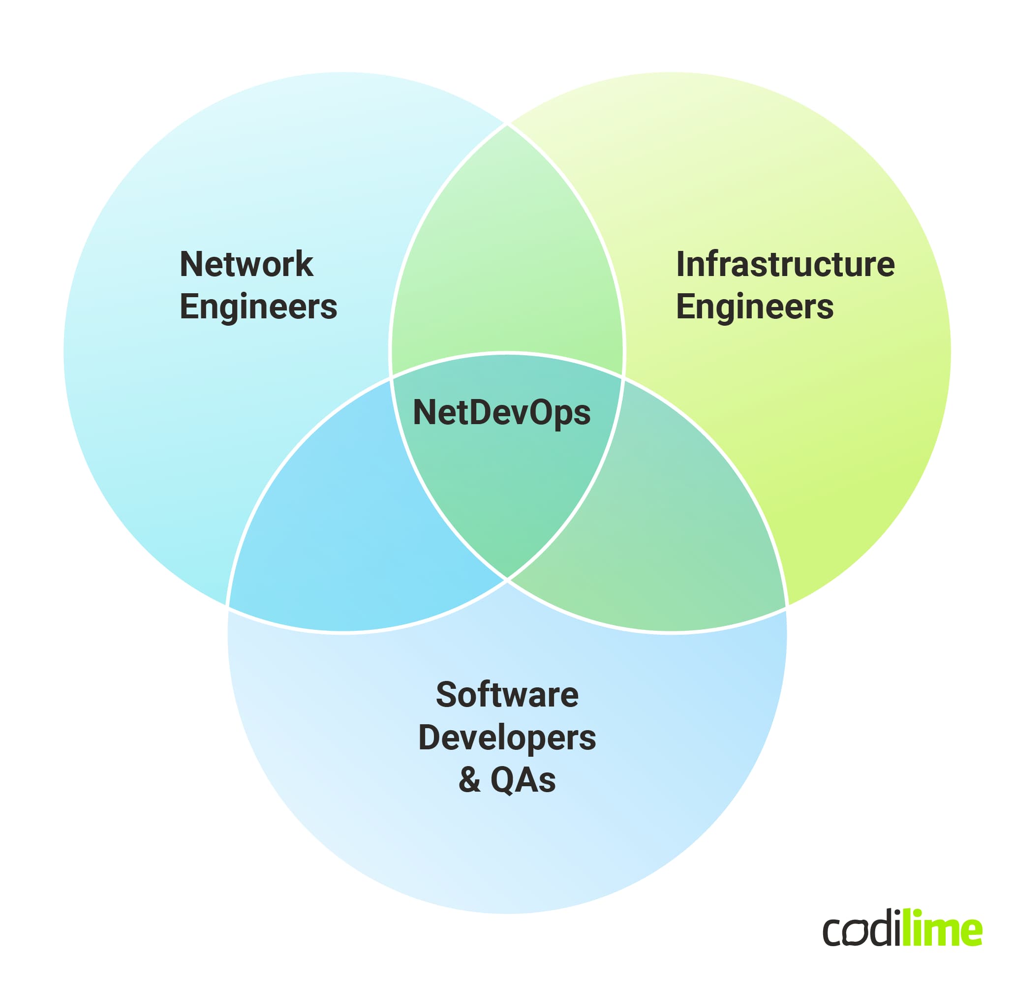 NetDevOps roles combination